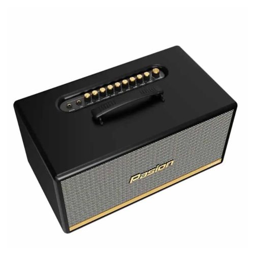 Ảnh Loa Di Động Xách Tay Paramax PASION 2c (Màu Đen)