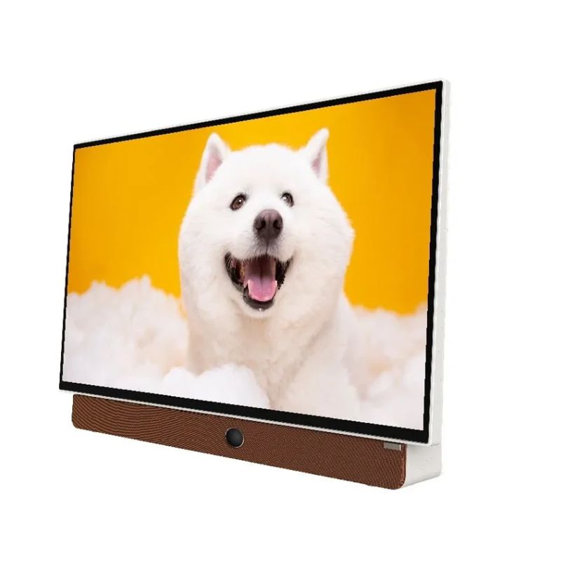 Ảnh Tivi Google Xách Tay Di Động Full HD 24 Inch Coocaa 24LP6000G (Tay Cầm Da) Ảnh Tivi Google Xách Tay Di Động Full HD 24 Inch Coocaa 24LP6000G (Tay Cầm Da)