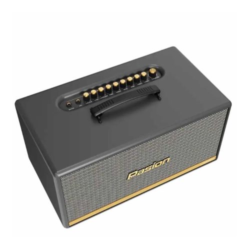 Hình ảnh Loa Di Động Xách Tay Paramax PASION 2c (Màu Xám)