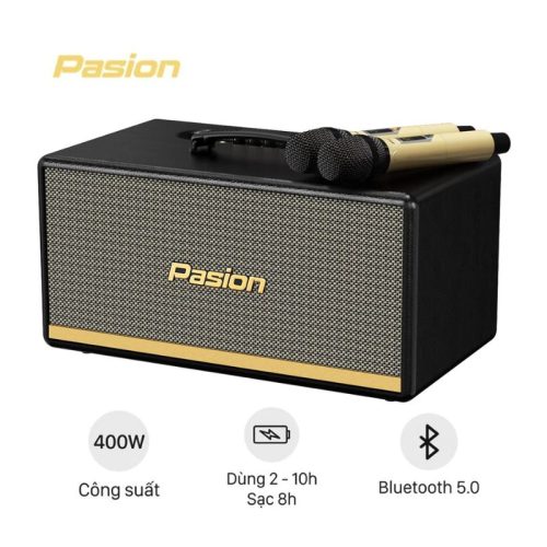 Loa Di Động Xách Tay Paramax PASION 2