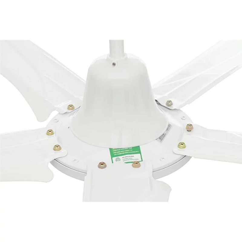 Ảnh quạt trần Rapido RCF-5W Ảnh quạt trần Rapido RCF-5W