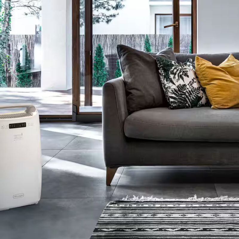 anh-may-hut-am-delonghi-dexd214rf.jpg anh may hut am delonghi